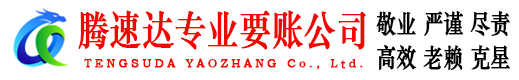 定南讨账公司